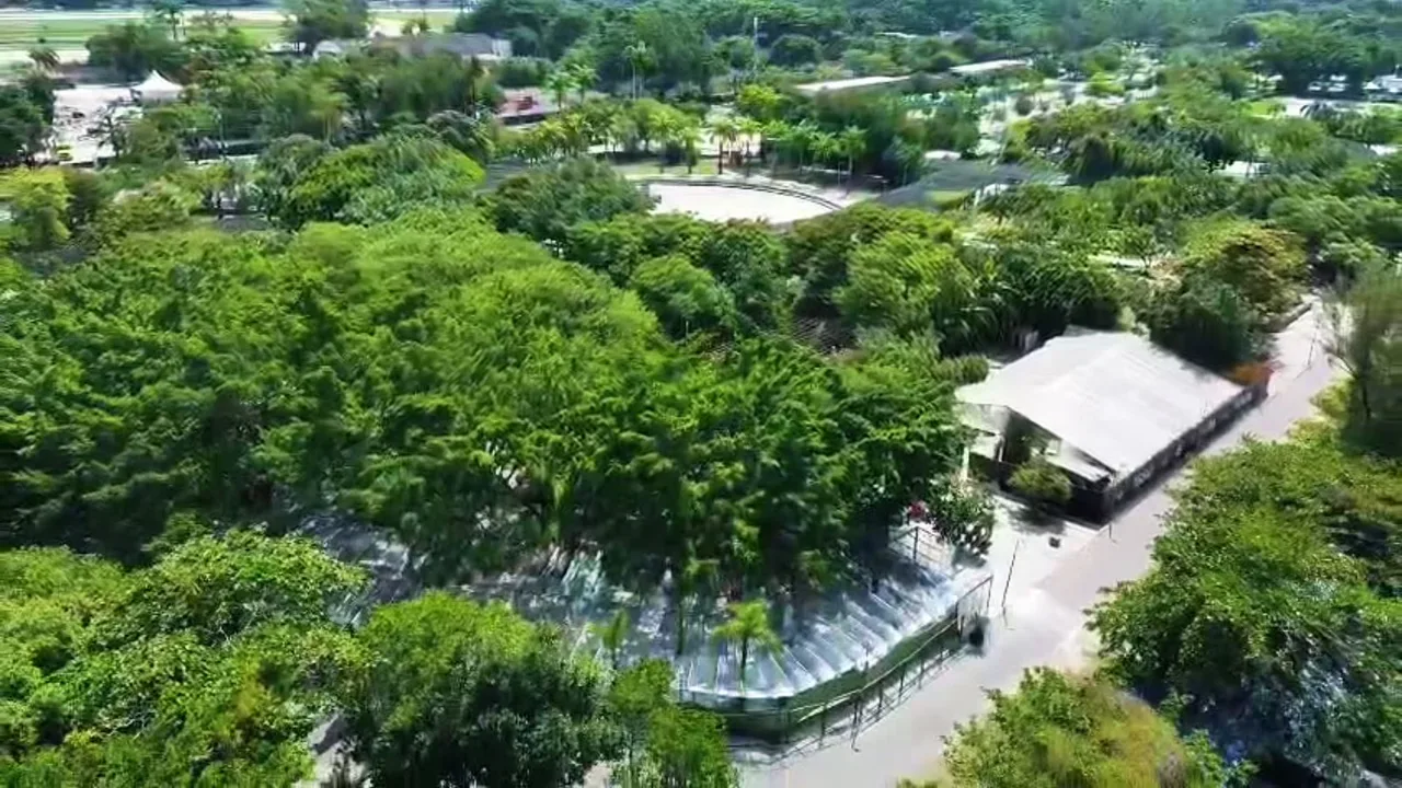 Vista aérea do Parque dos Patins e da área da Aldeia Lagoa